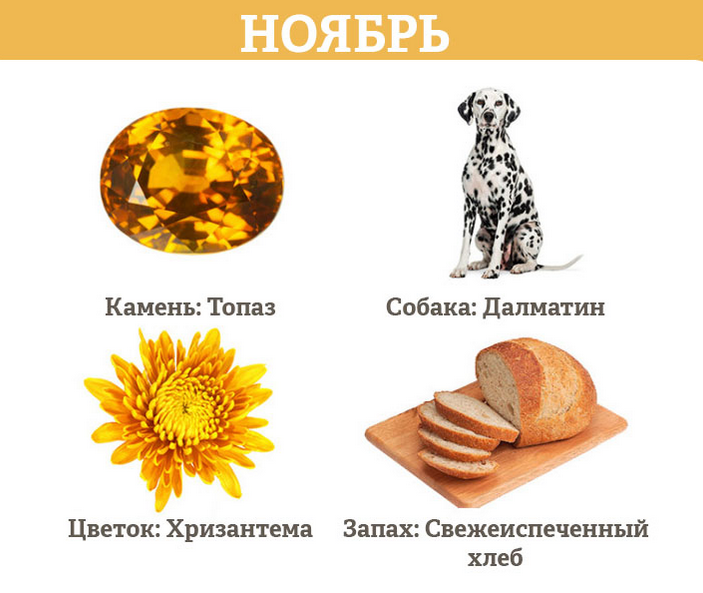 Гороскоп на ноябрь