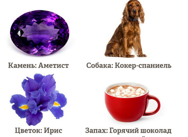Гороскоп